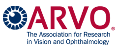 ARVO Logo